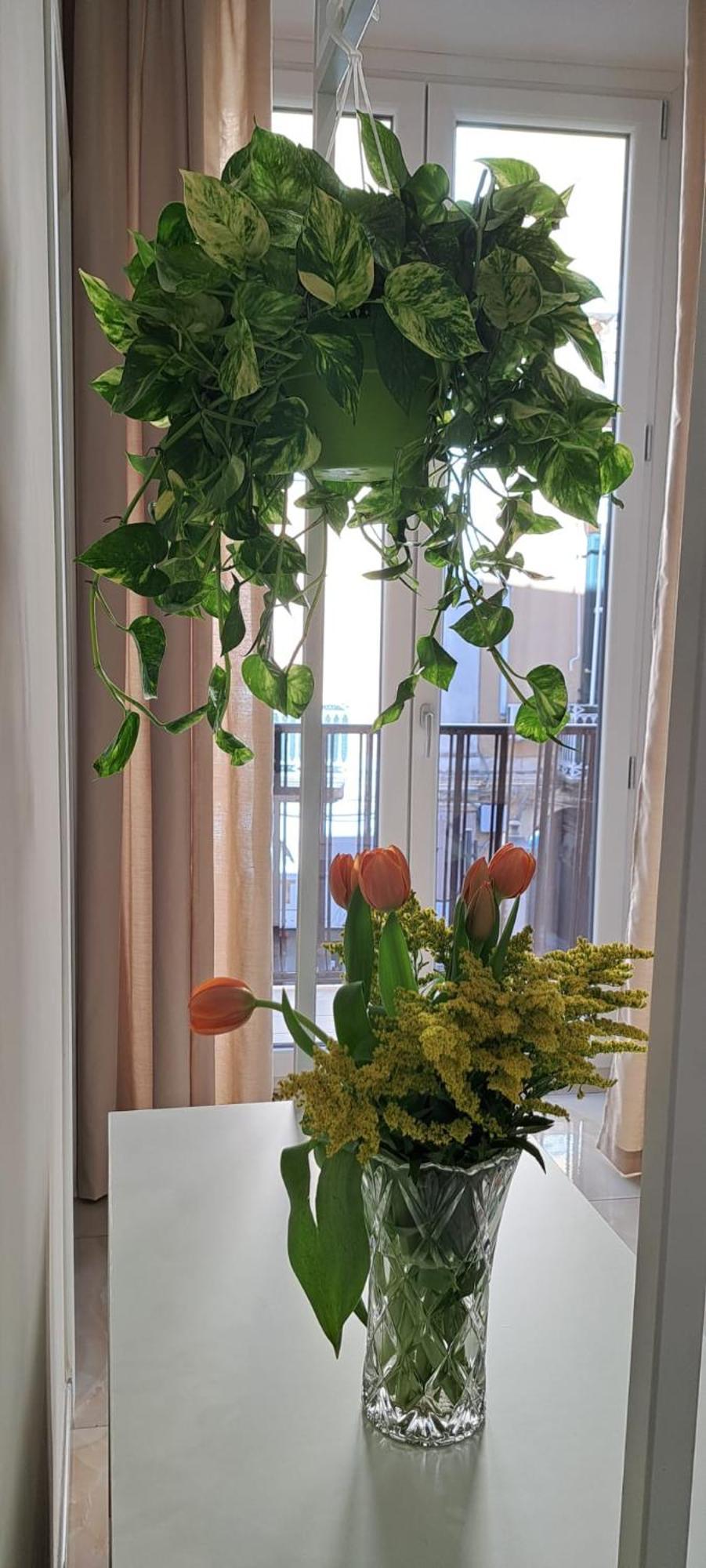 פגאני B&B Al Corso מראה חיצוני תמונה